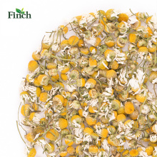 Finch Nouvelle arrivée santé tisane séchée fleur camomille